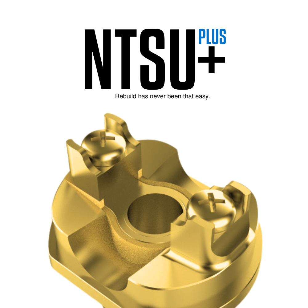 NTSU PLUS+ RBA | GOLD LE