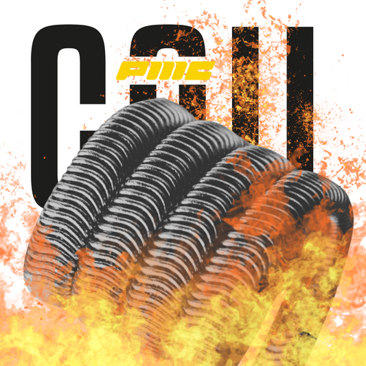 PMC | BABY ALIEN COILS